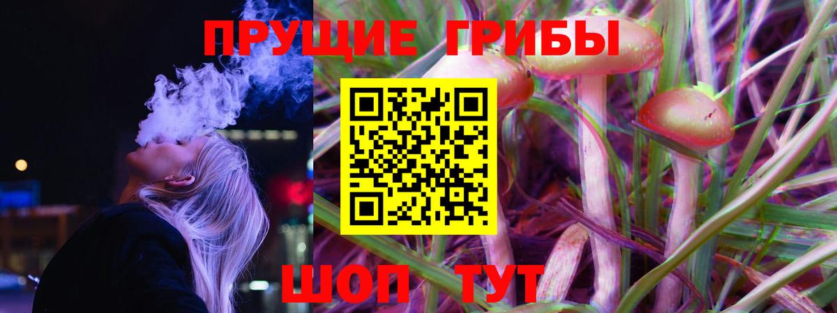 Псилоцибиновые грибы ЛСД Кыштым